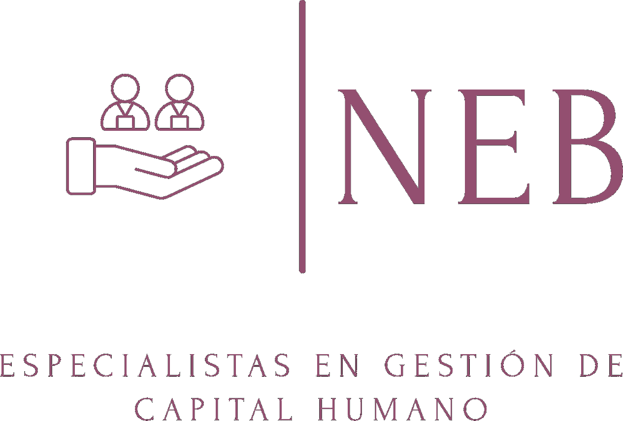 NEB Consultora